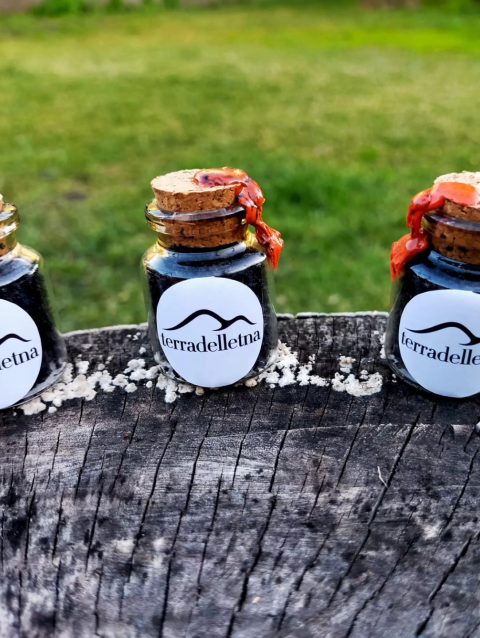 calamite terradelletna