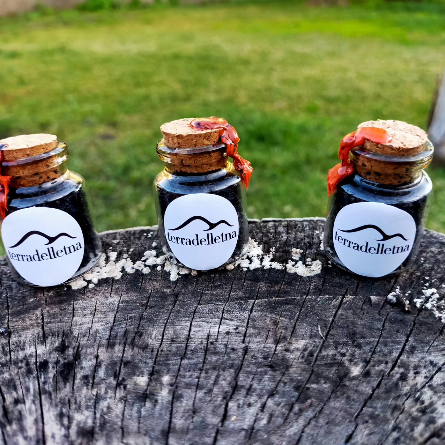 calamite terradelletna